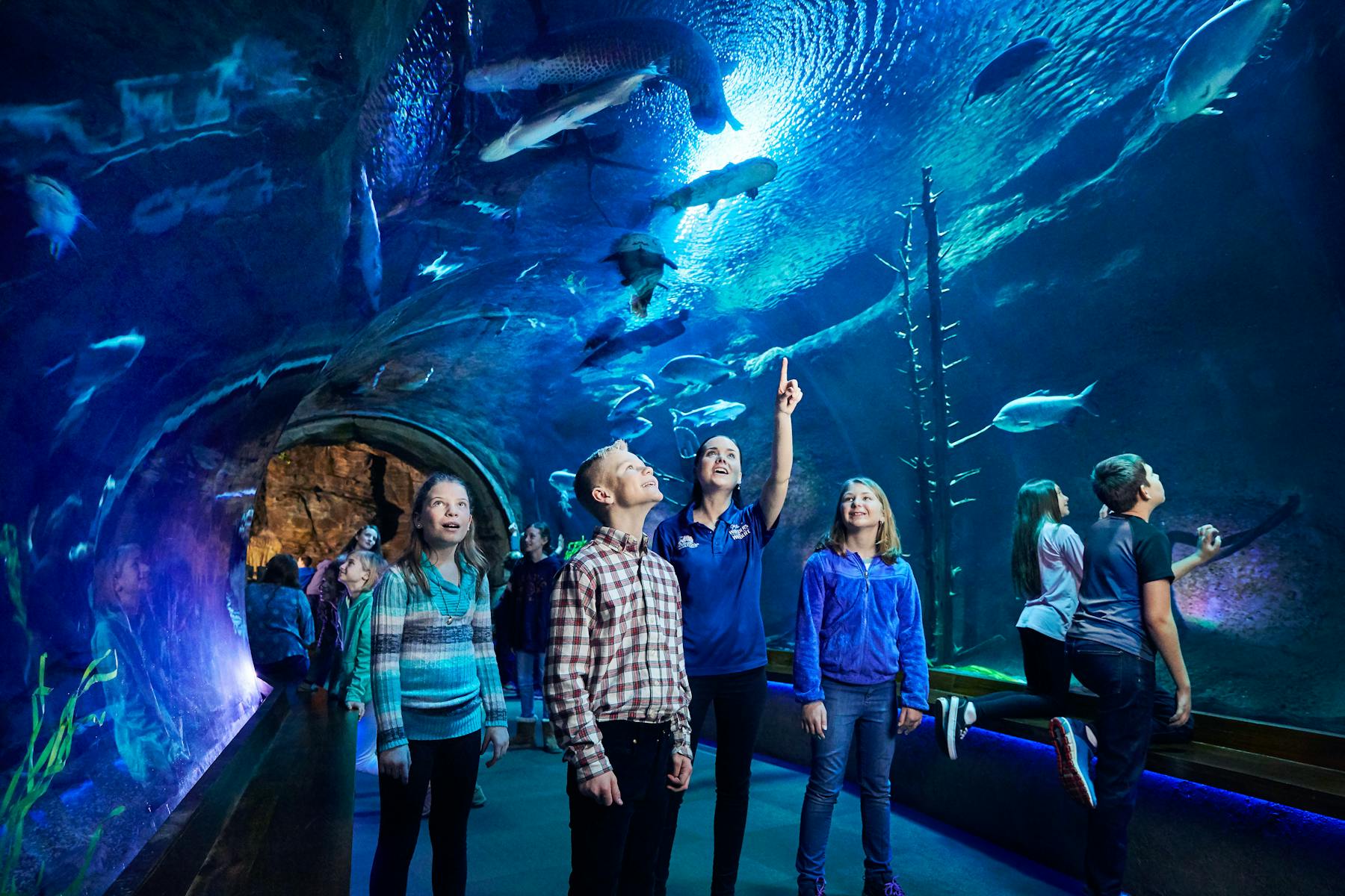 01 23 20 WoW RiverMonsters 001by Starboard Port