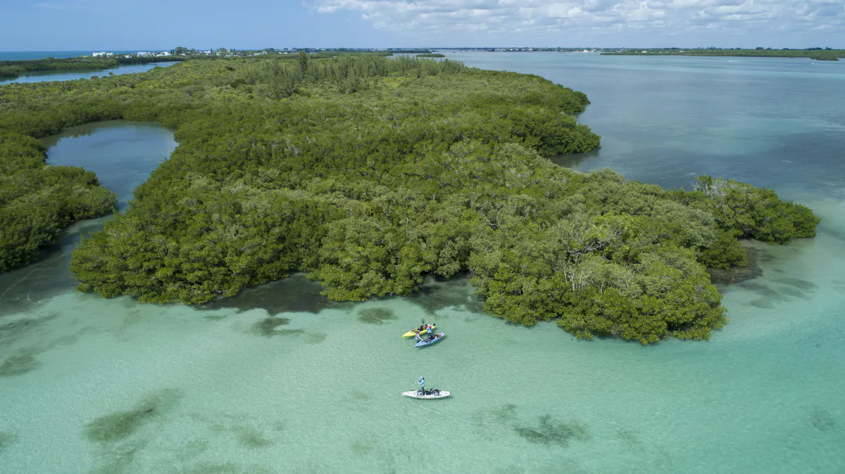 10142019 Charlotte County Fortuna DJI 0020