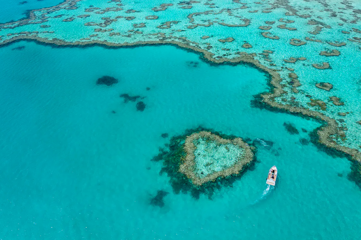 149884 2022 WYS HamiltonIsland Hamilton 34