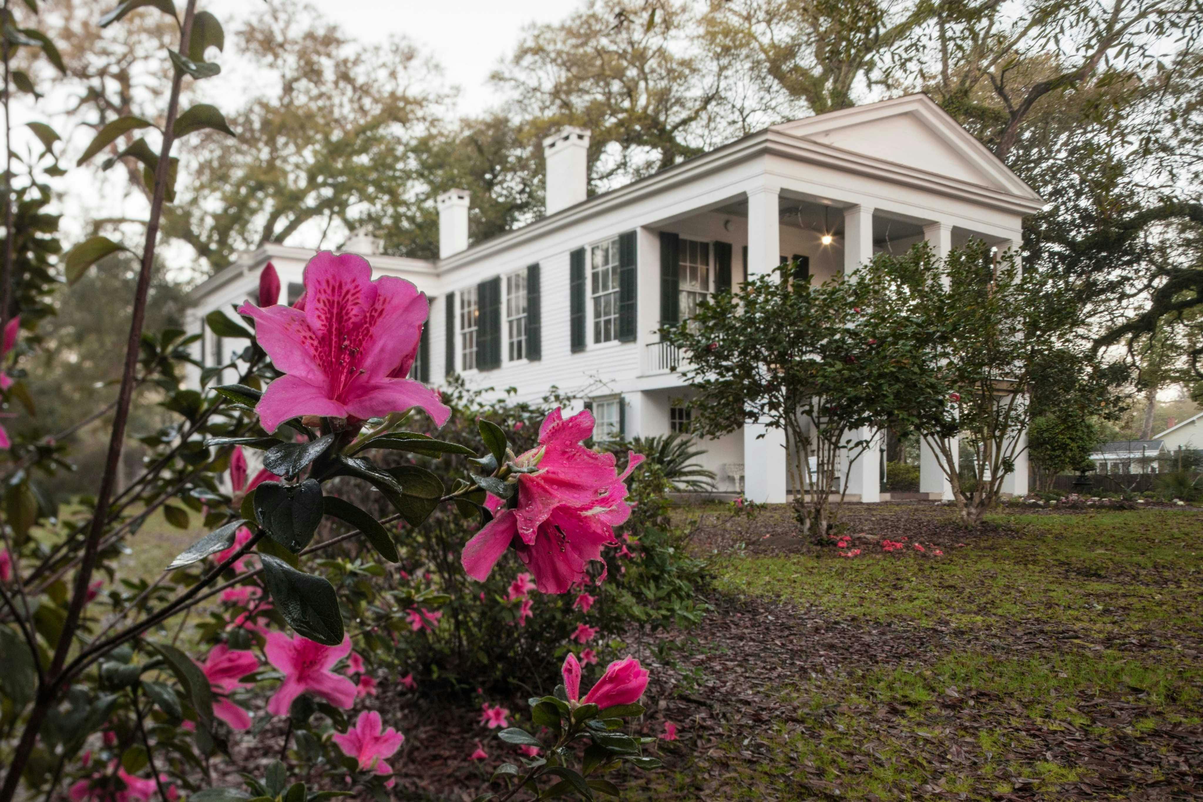 16.03.10 AzaleasMobile 2 resized 900kb