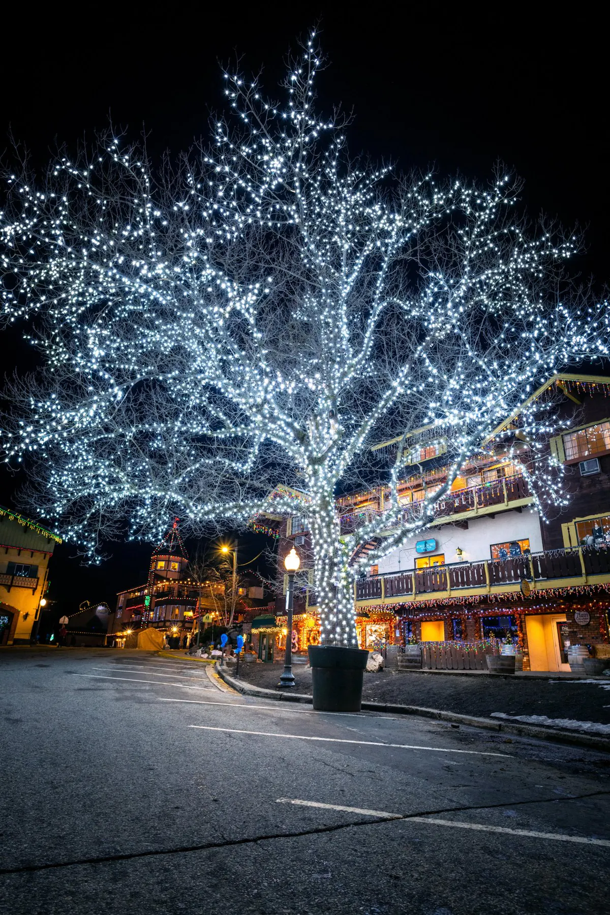 1765 DSC 6989 large