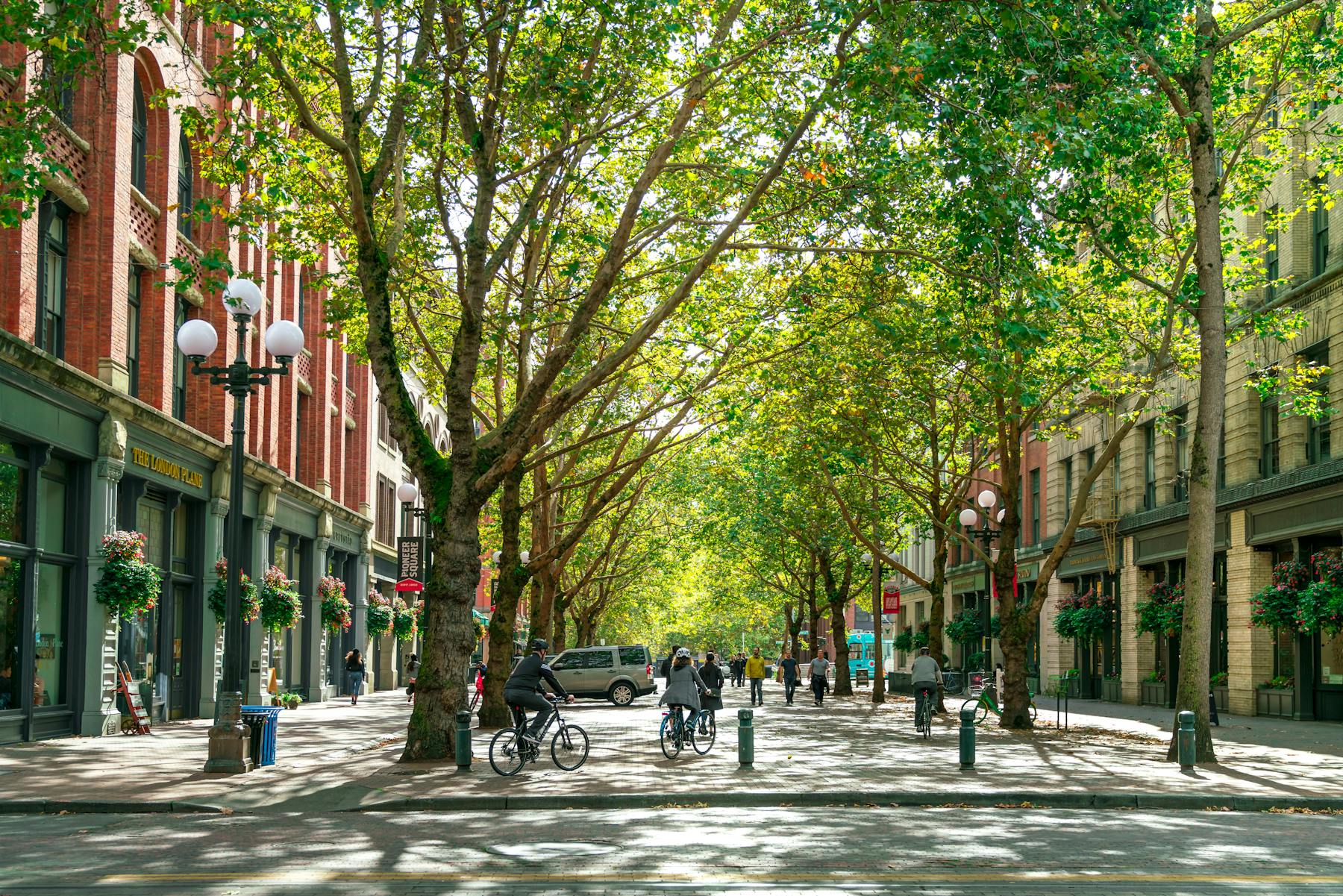 19PIONEERSQ AP 046 Edit