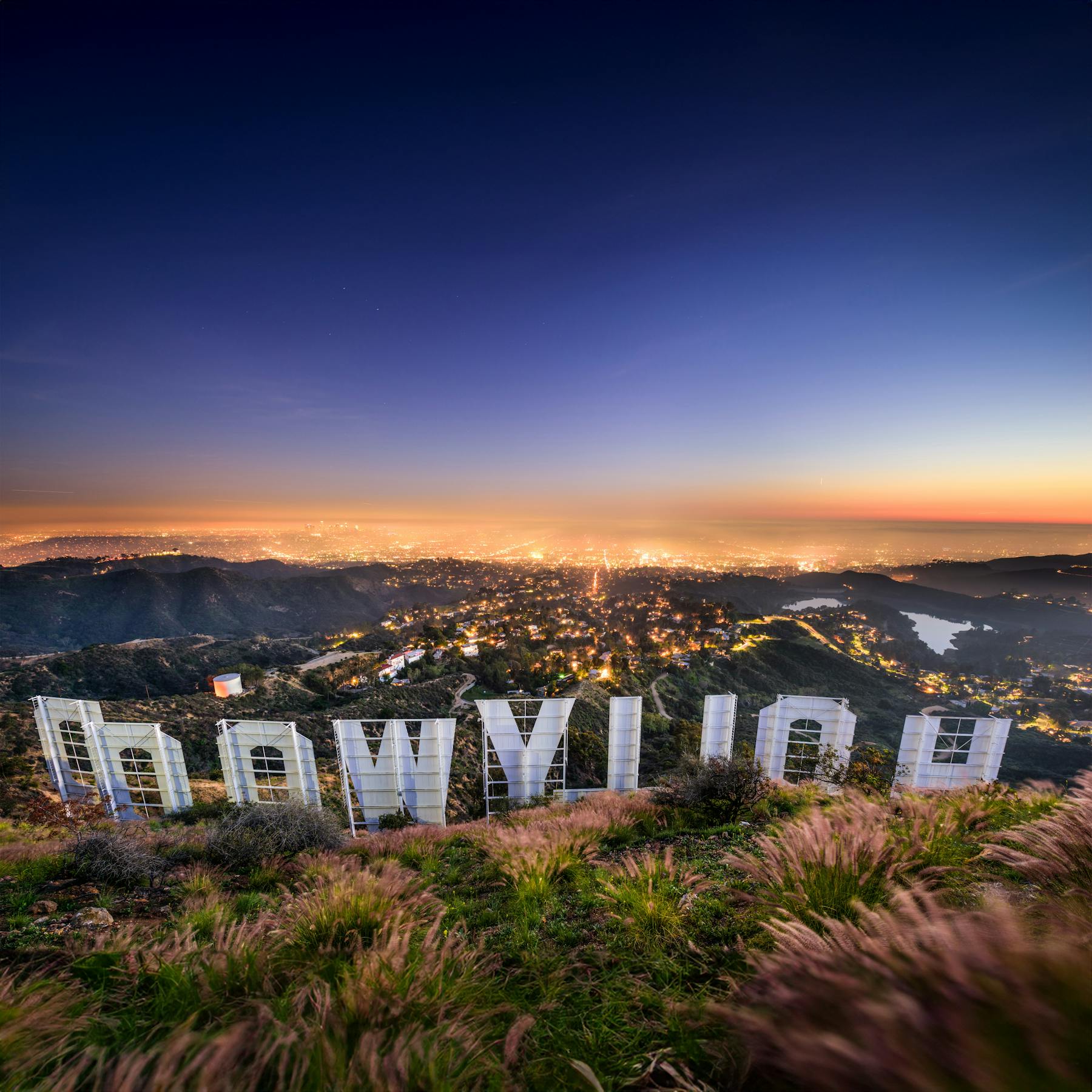 1HollywoodSign Shutterstock Purchased