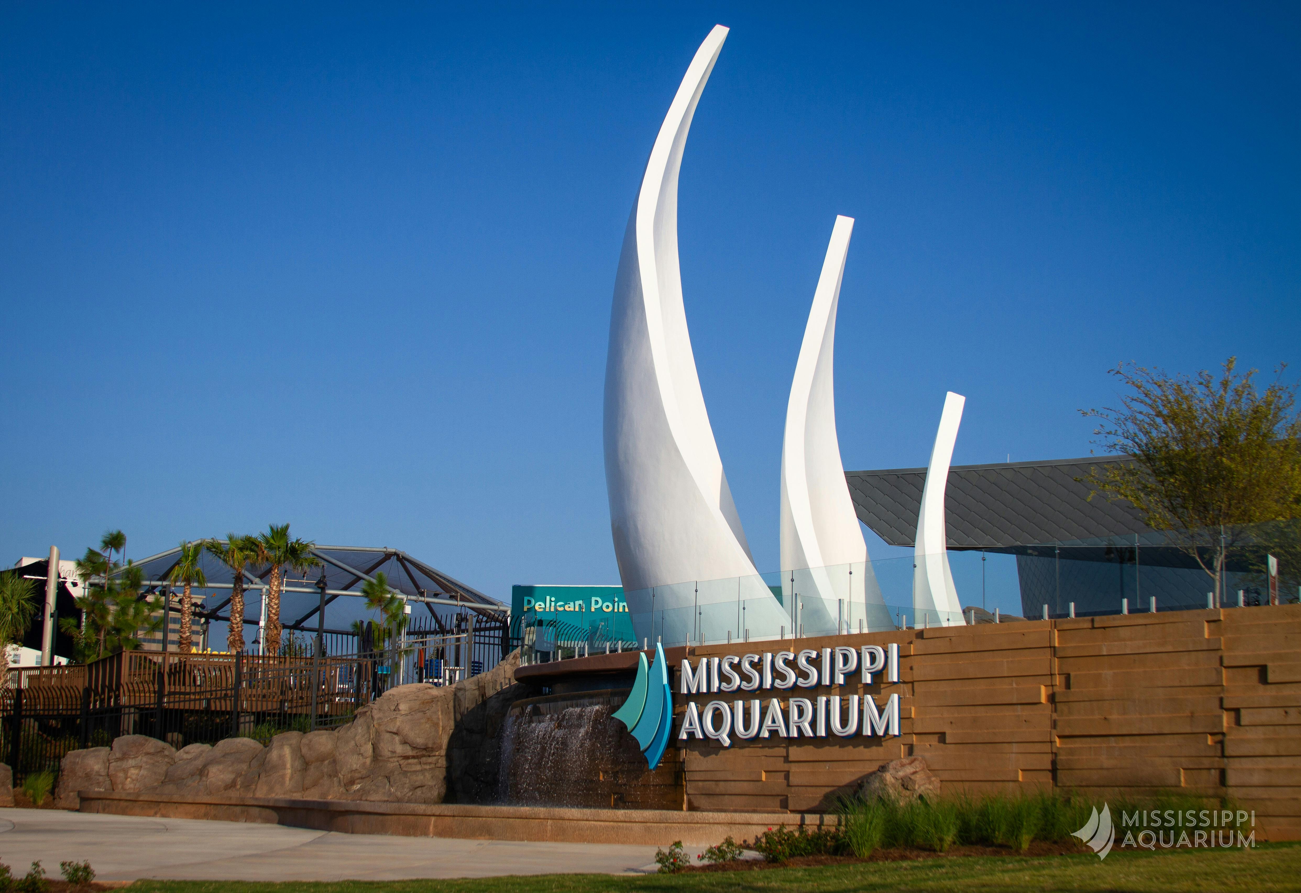 2020 mississippi aquarium attraction museum gulfport mississippi 12