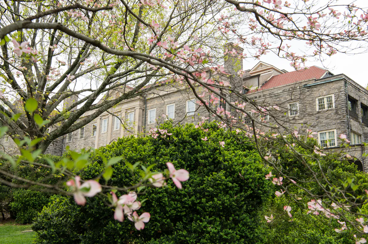 2022 Cheekwood SpringArtHop CaitlinHarris DSC6571