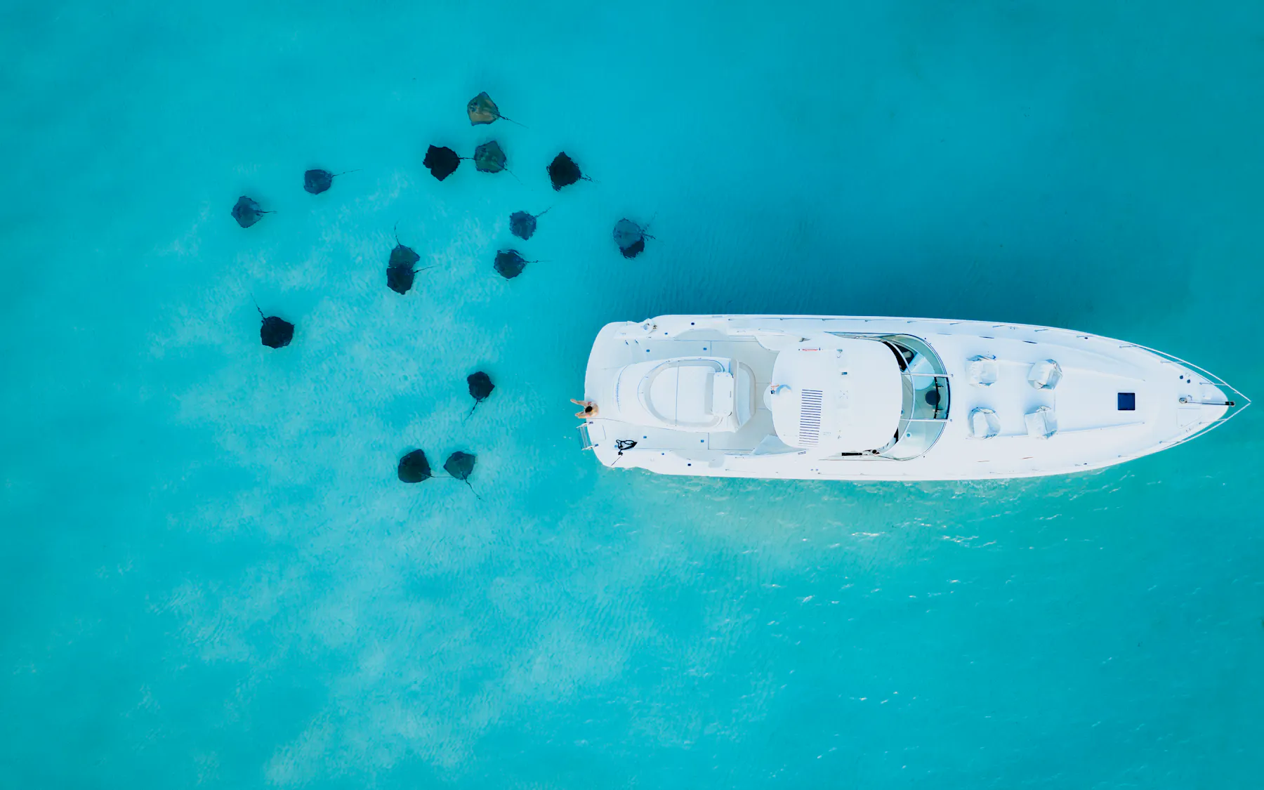 4. Cayman Islands X JRD