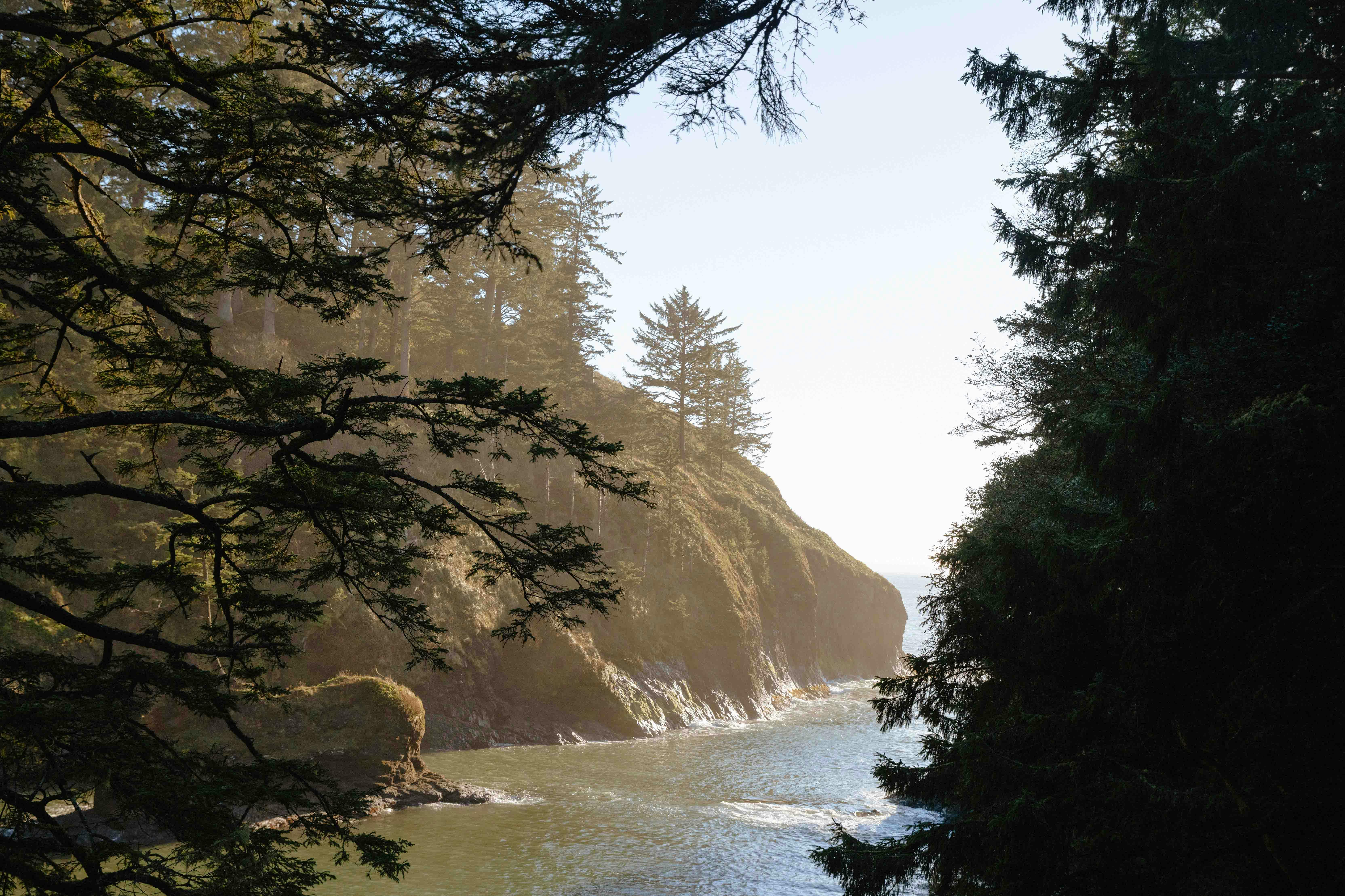 4455 Wondercamp SWT GORGETOCOAST 123