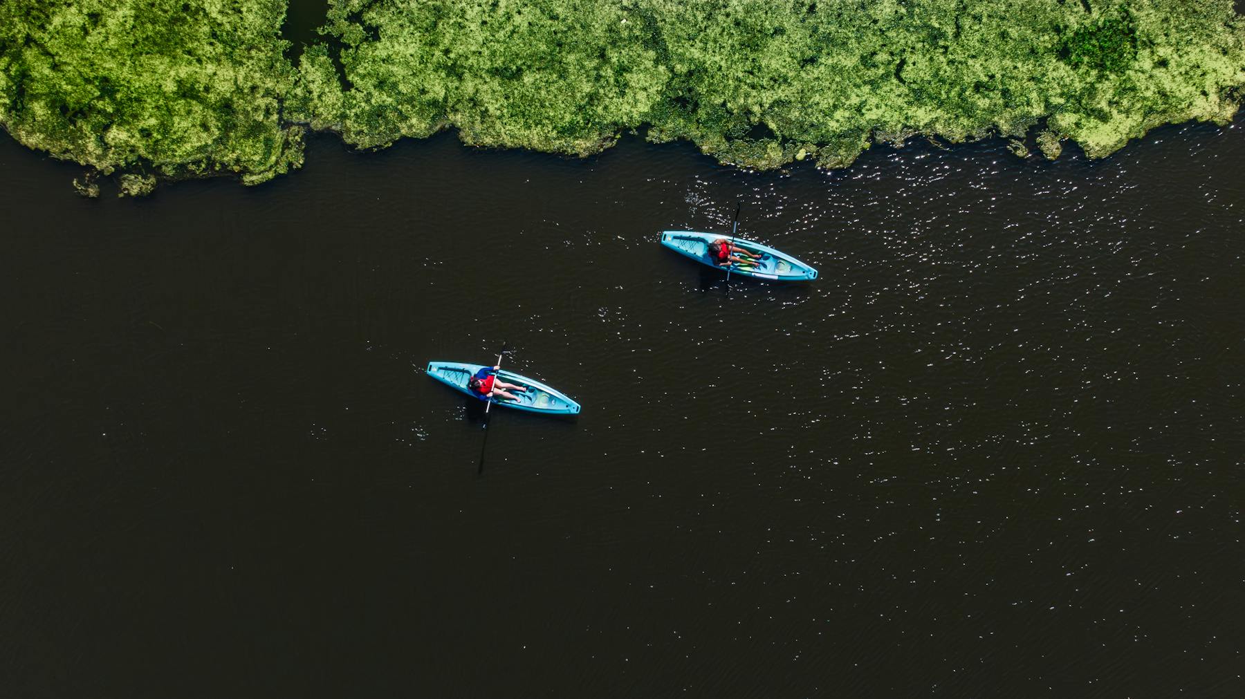 765469126 pascagoula river audubon center 5