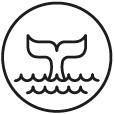 Walbeobachtung