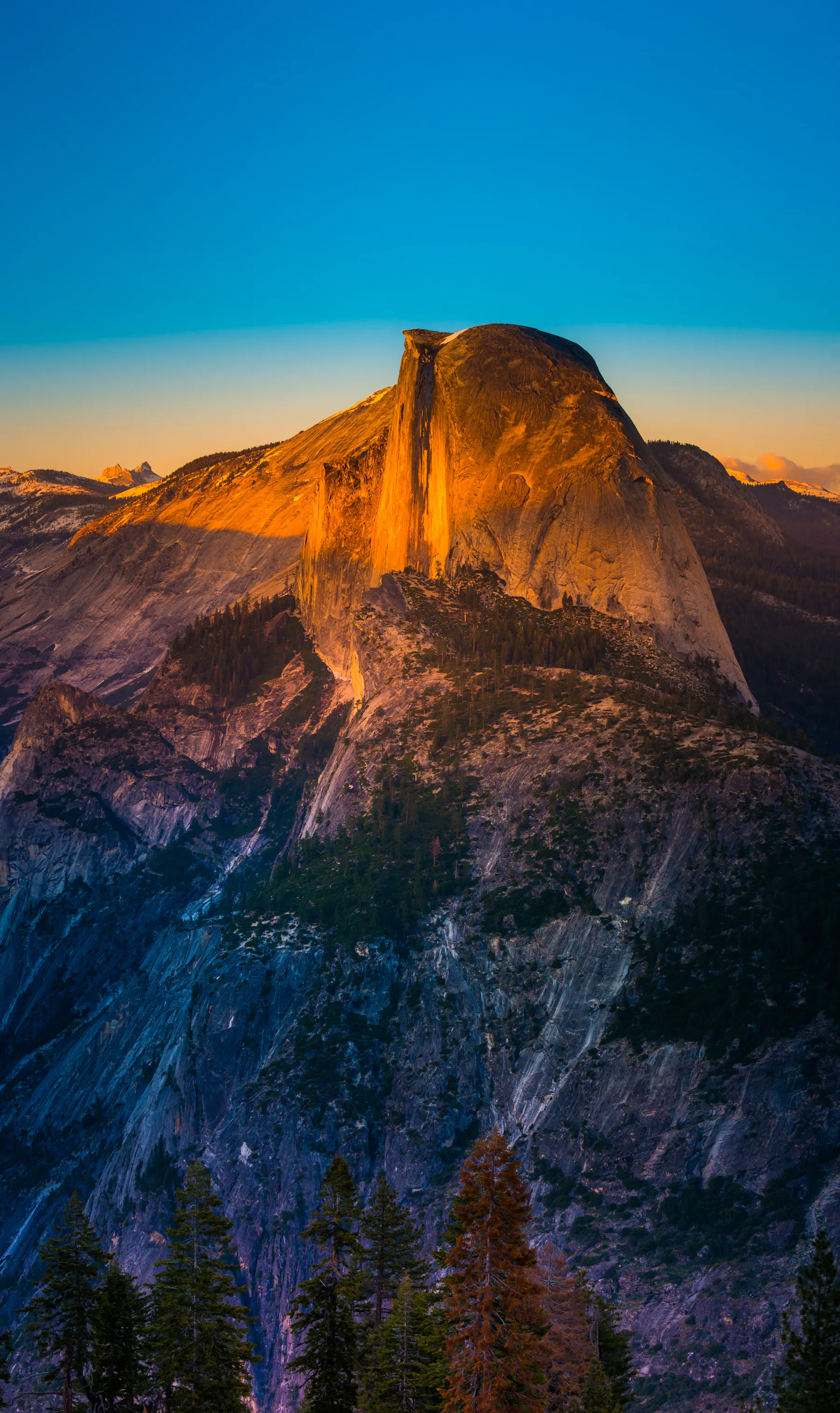 AdobeStock 119553077