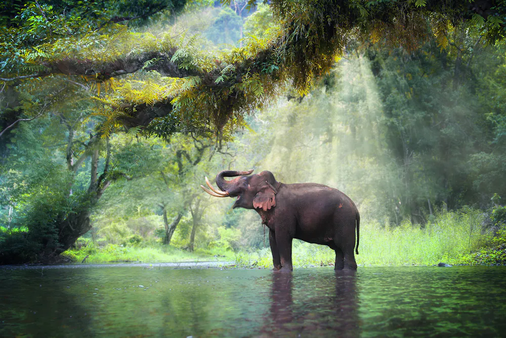 Reiseinspiration Afrika