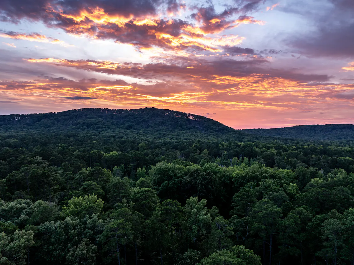 Albemarle Uwharrie Morrow Mountain State Park NCPN Summer 108