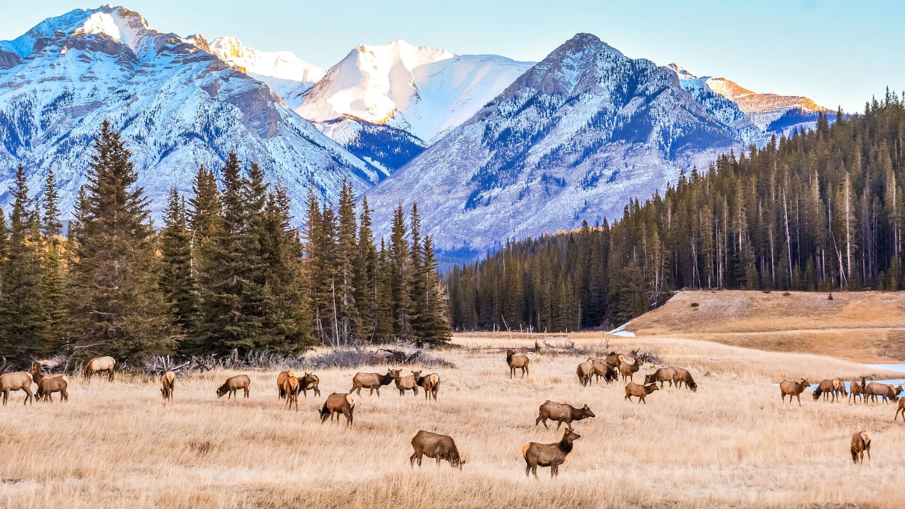 Alberta PowerPoint Crop AB DSC 0061