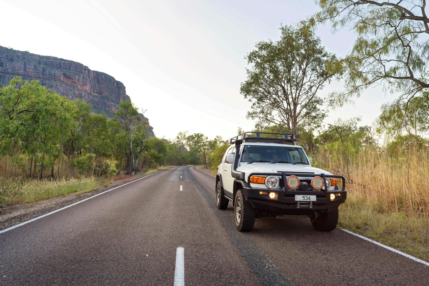 Australien kakadu auto