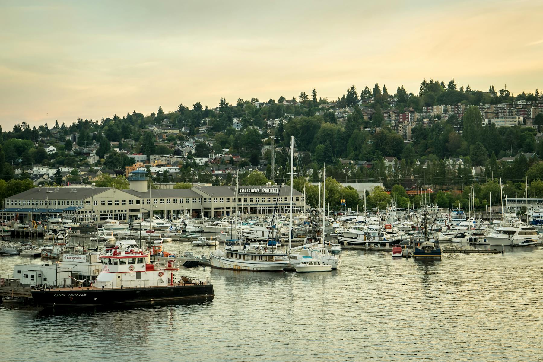 Ballard 15FISH TERM 005