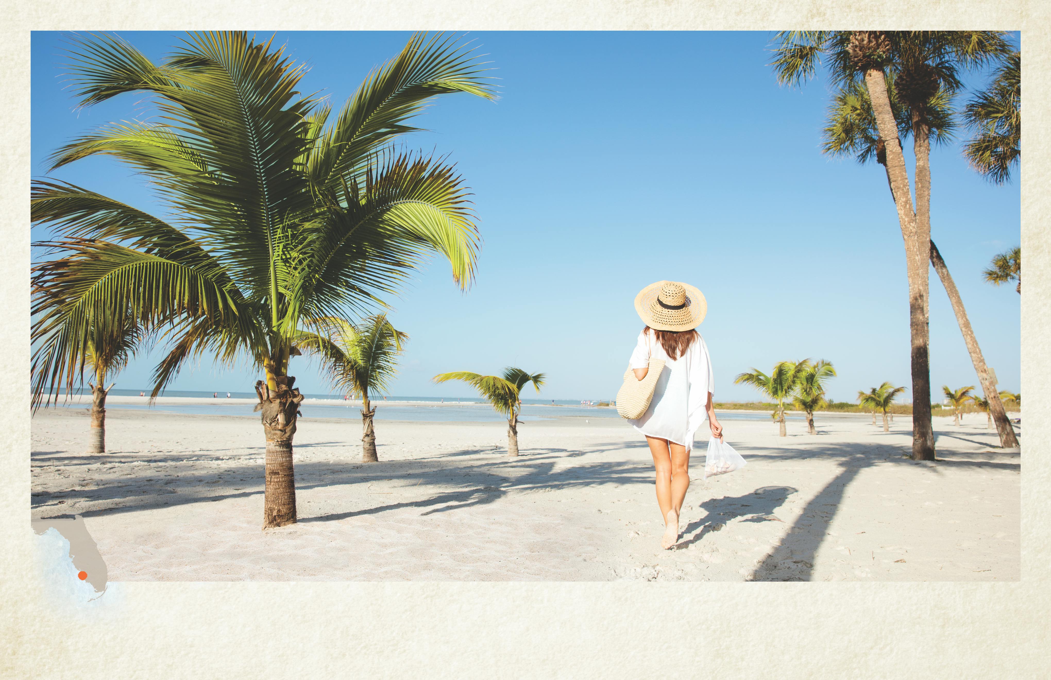 BannanaLady Islandology Horiz CMYK