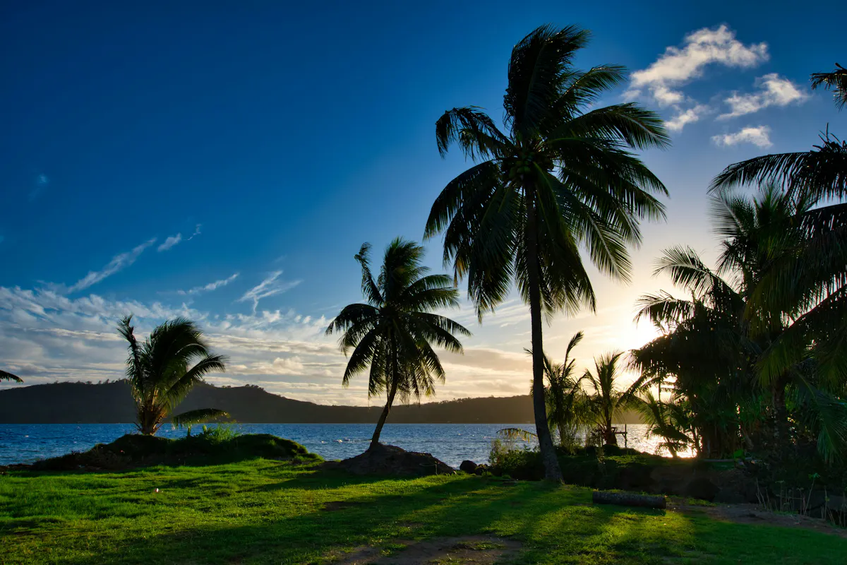 Bora Bora Palmen