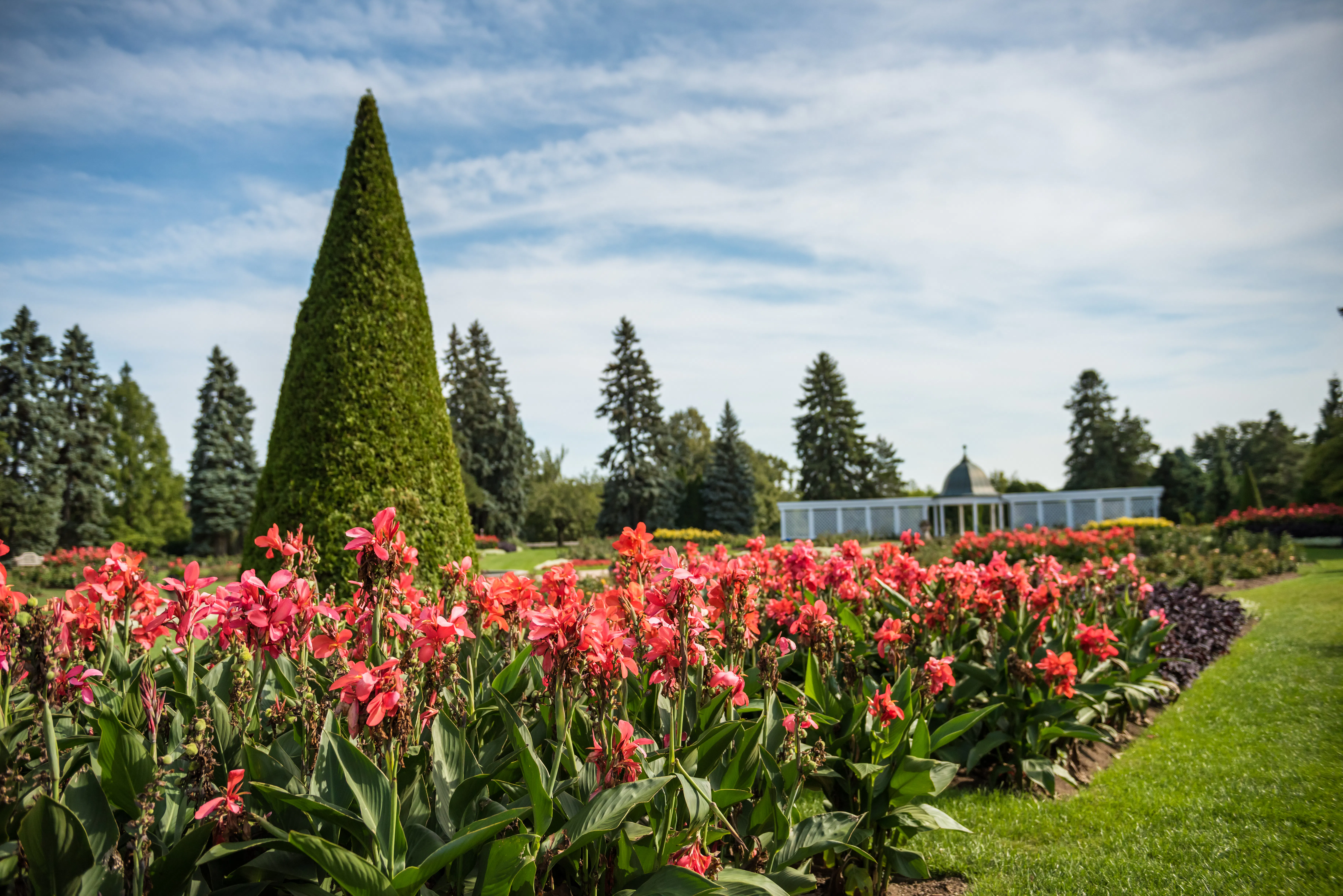Botanical Gardens 4