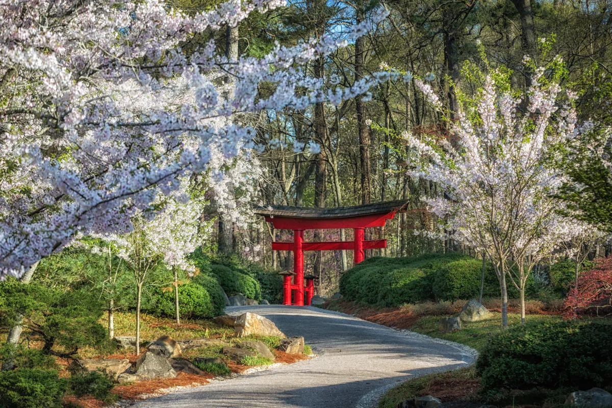 BotanicalGarden CREDIT ArtMeripolsmall