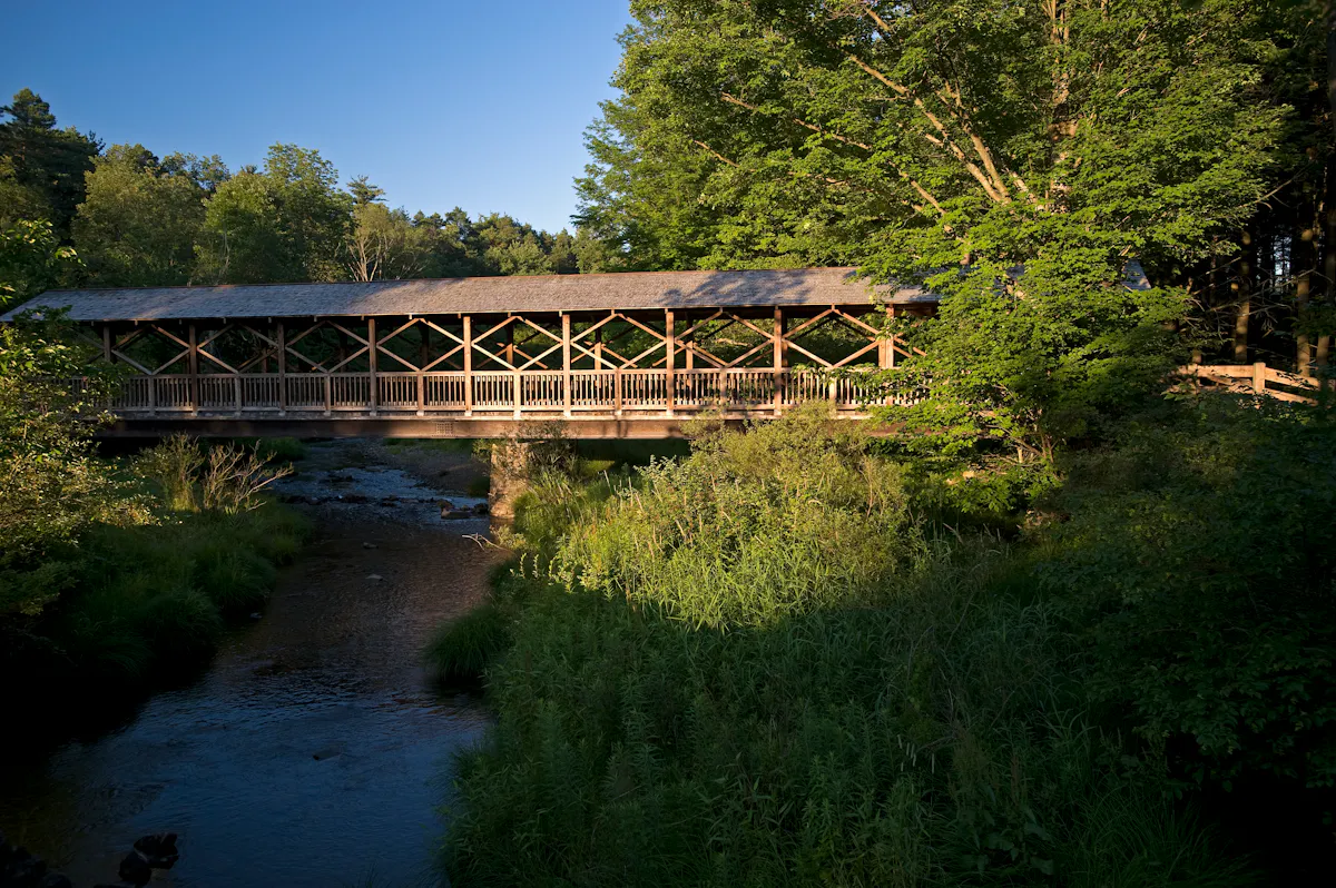 CA 0809 364