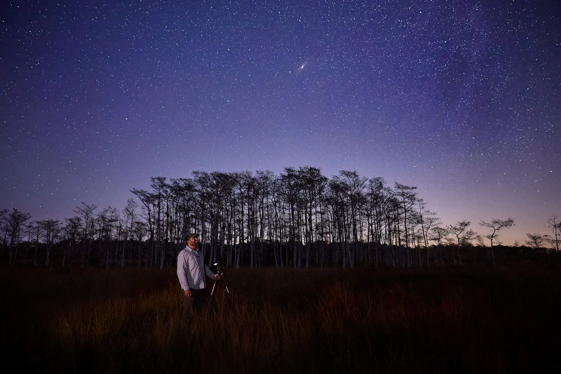 CCT 1482 Big Cypress Dark Sky r5 2 9557 hero