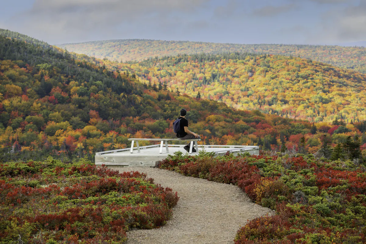 CapeBreton Herbst