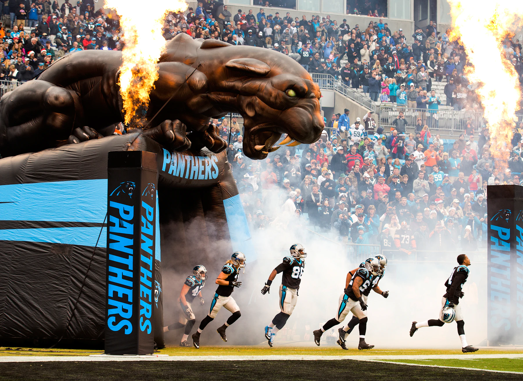 Carolina Panthers 1