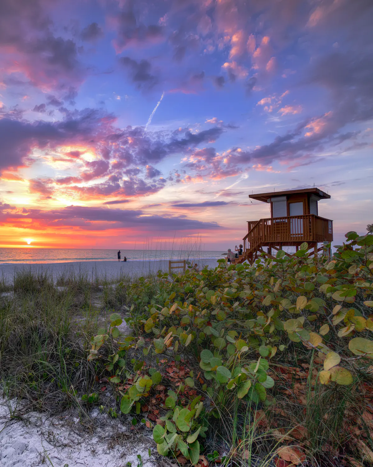 Coquina Beach Stragglers Rick Schwartz