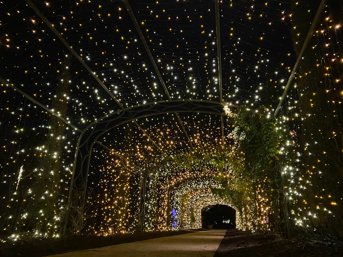 Courtesy Cheekwood