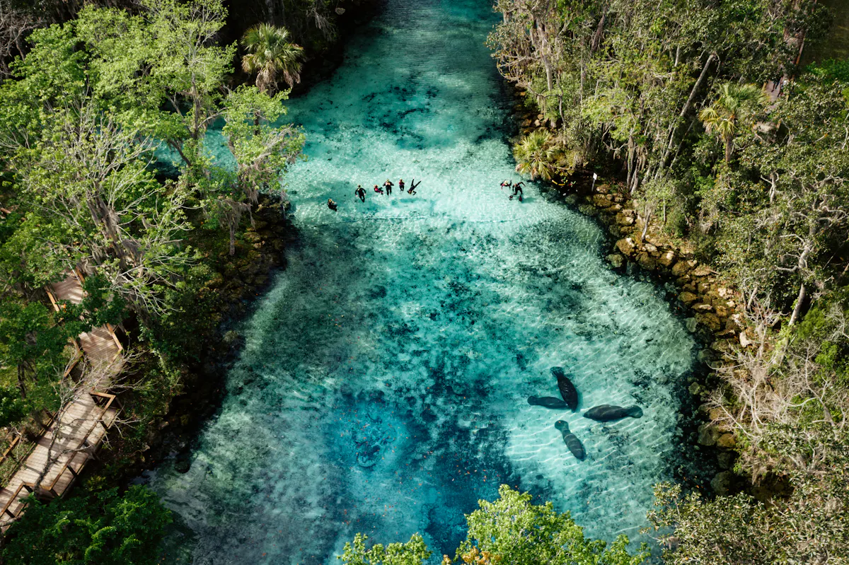 Crystal River Drone 01 2020 Paradise Media