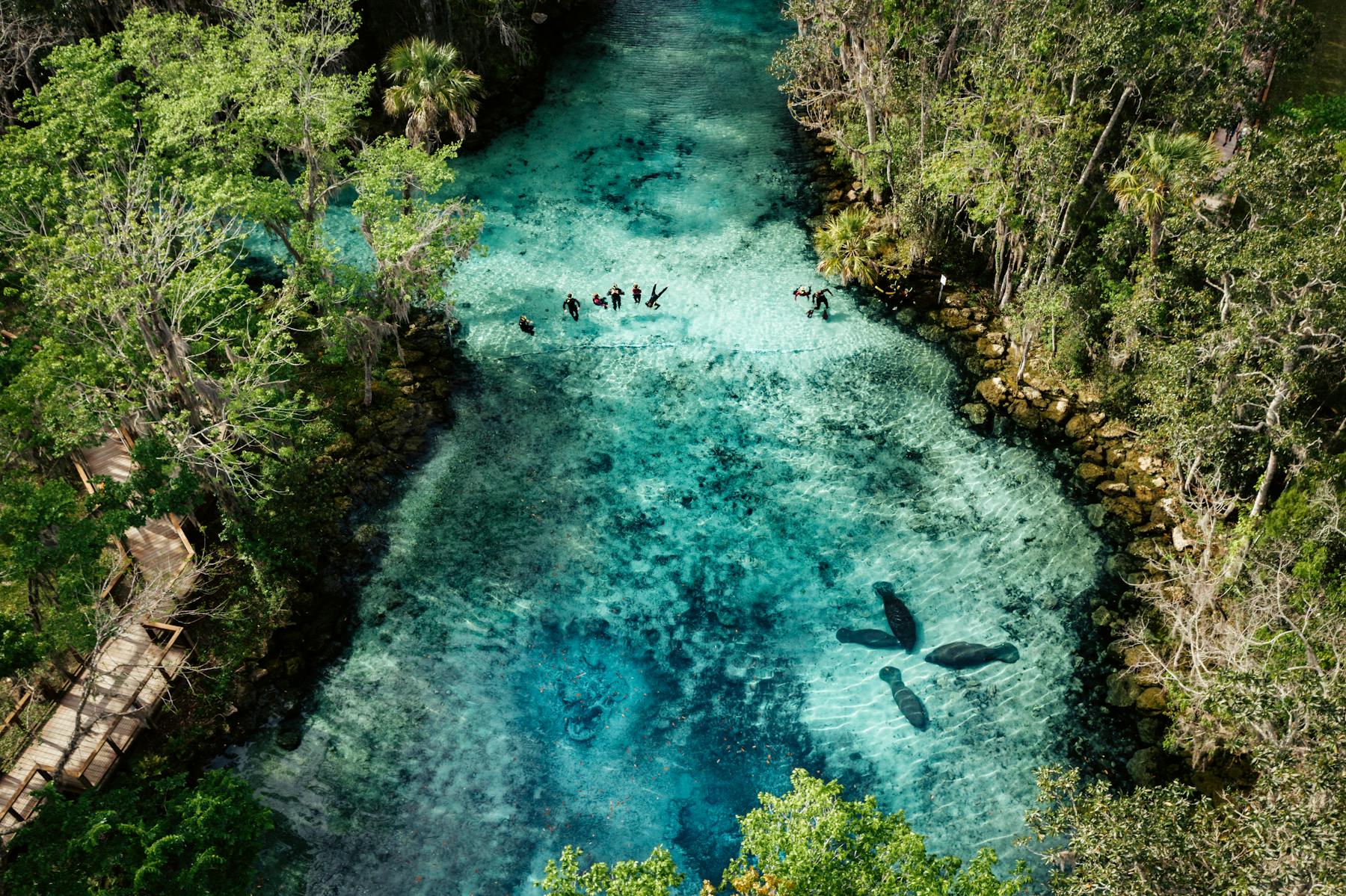 Crystal River Drone 01 2020 Paradise Media