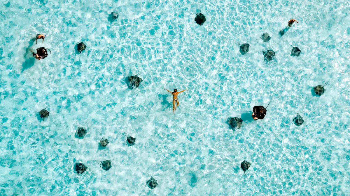 DJI 0211 Edit 1
