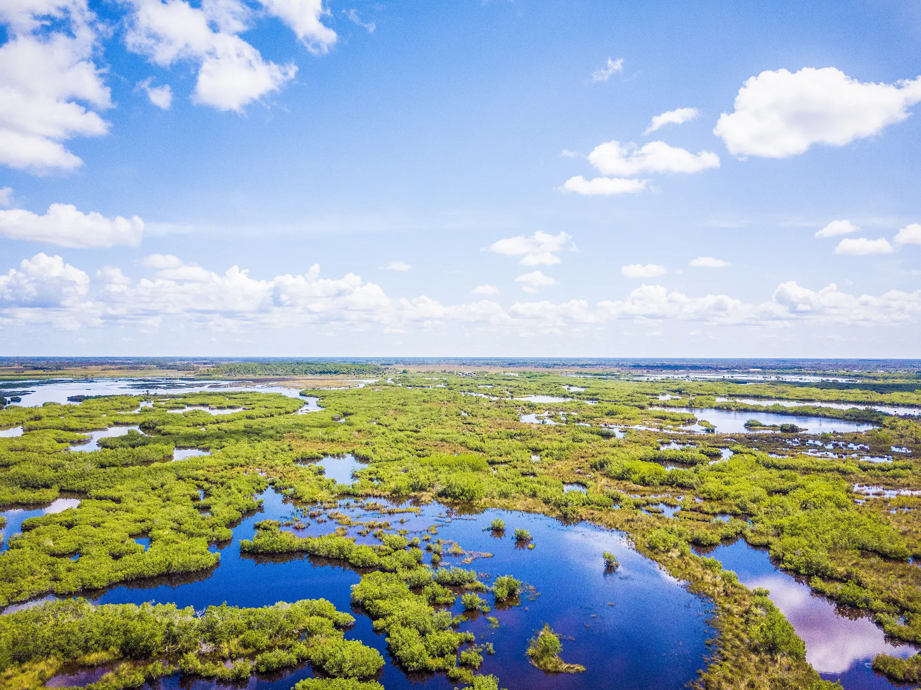 Everglades