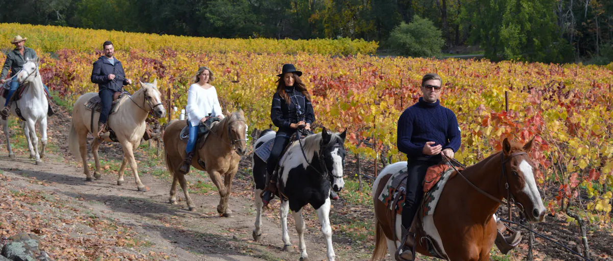 Fall20horseback20ride20through20the20vineyards20at20Bartholomew20Estate20 20Michelle20Hogan20DSC 069820282291