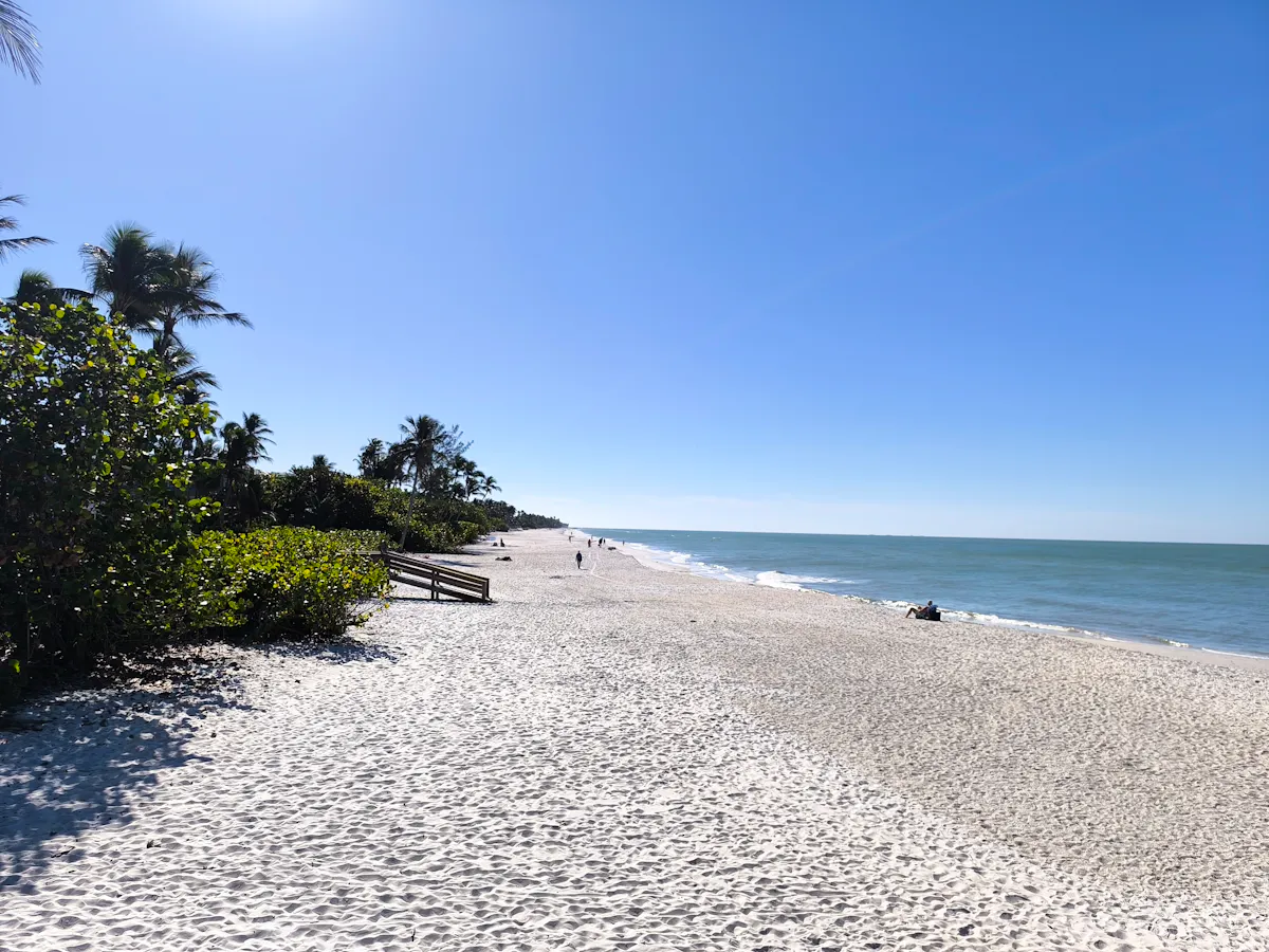 Florida 9