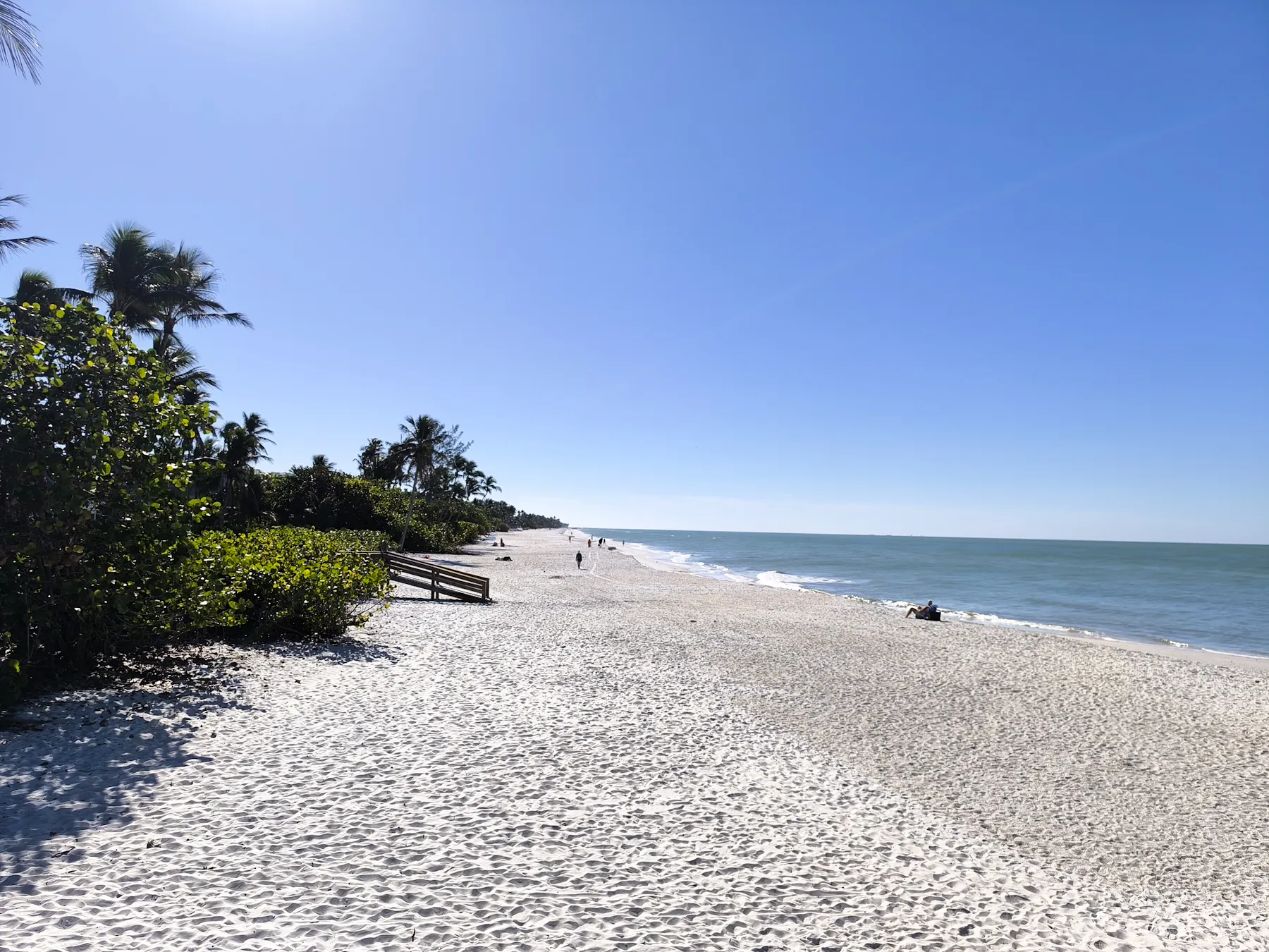 Florida 9