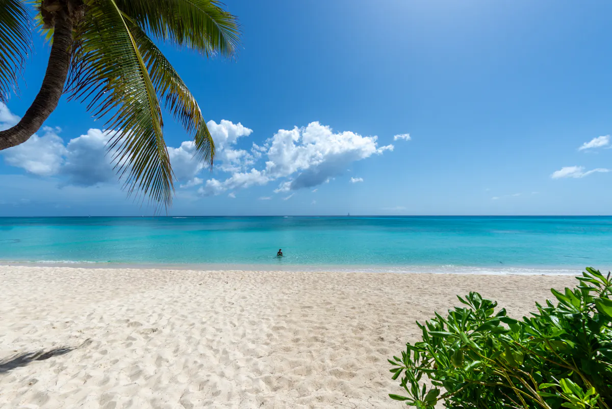 GCM SevenMileBeach 2024 01