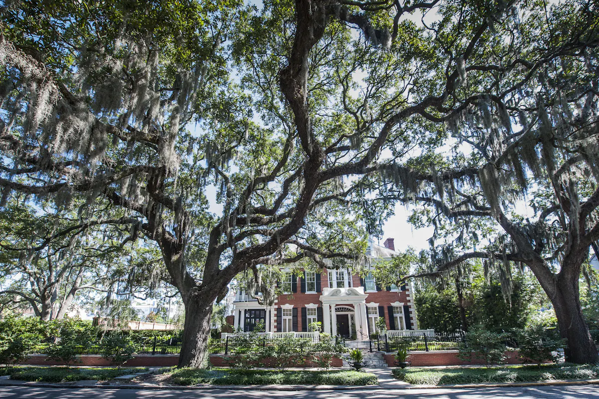 Gaston Street house hero image