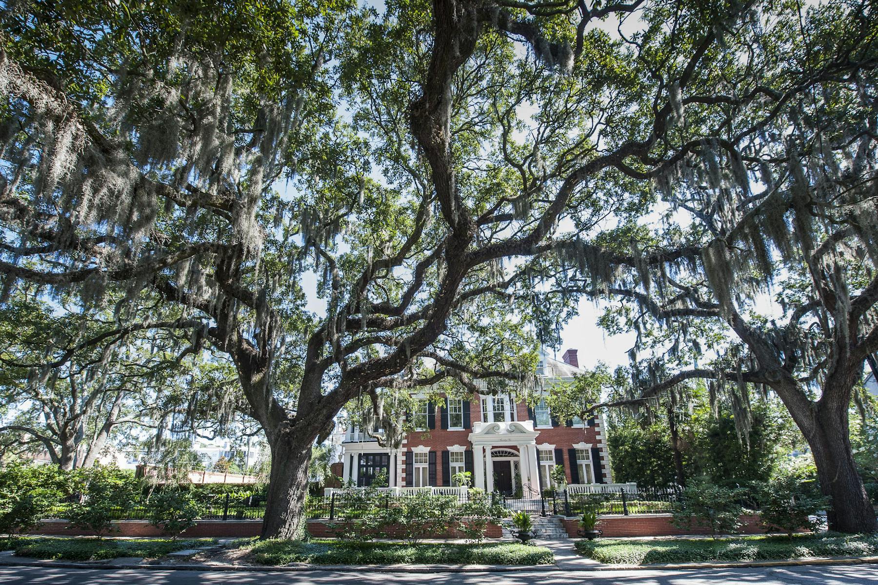 Gaston Street house hero image