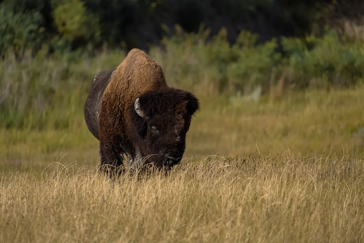 Gross Badlands 20230901 ByronBanasiak 9