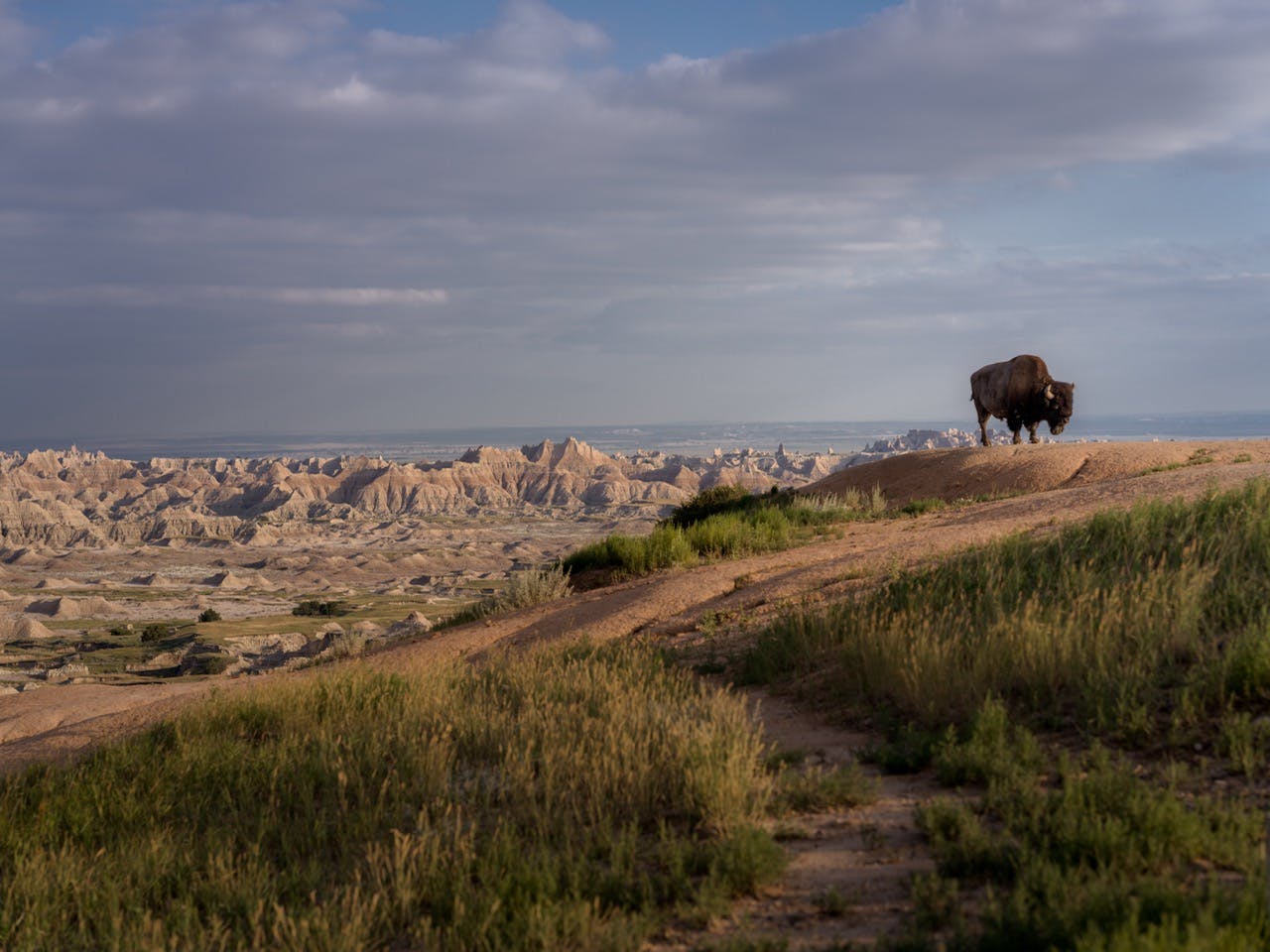 Gross Badlands 20250717 hasselblad ByronBanasiak 34