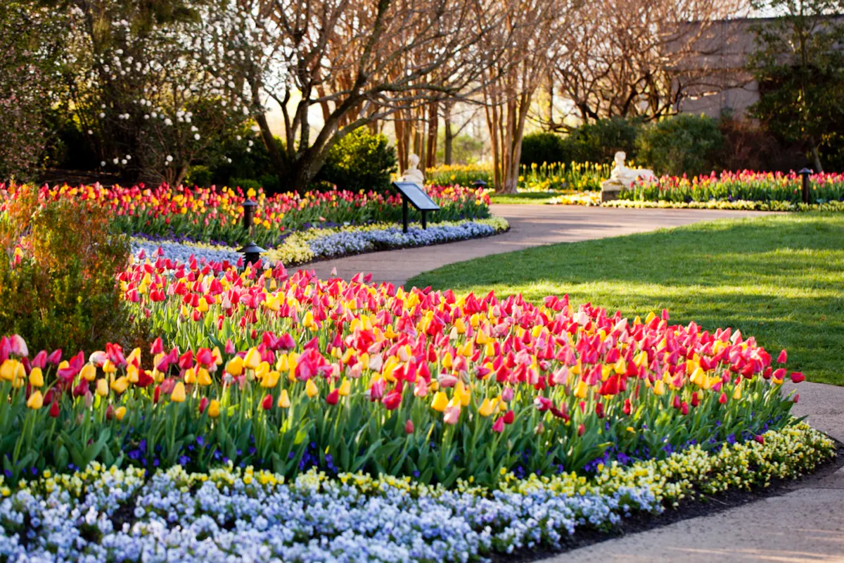Gross Cheekwood in Bloom Color garden 22