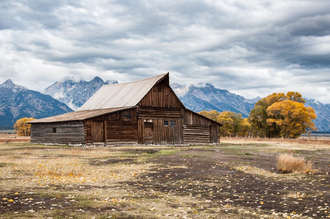 Gross Grand Teton National Park 3