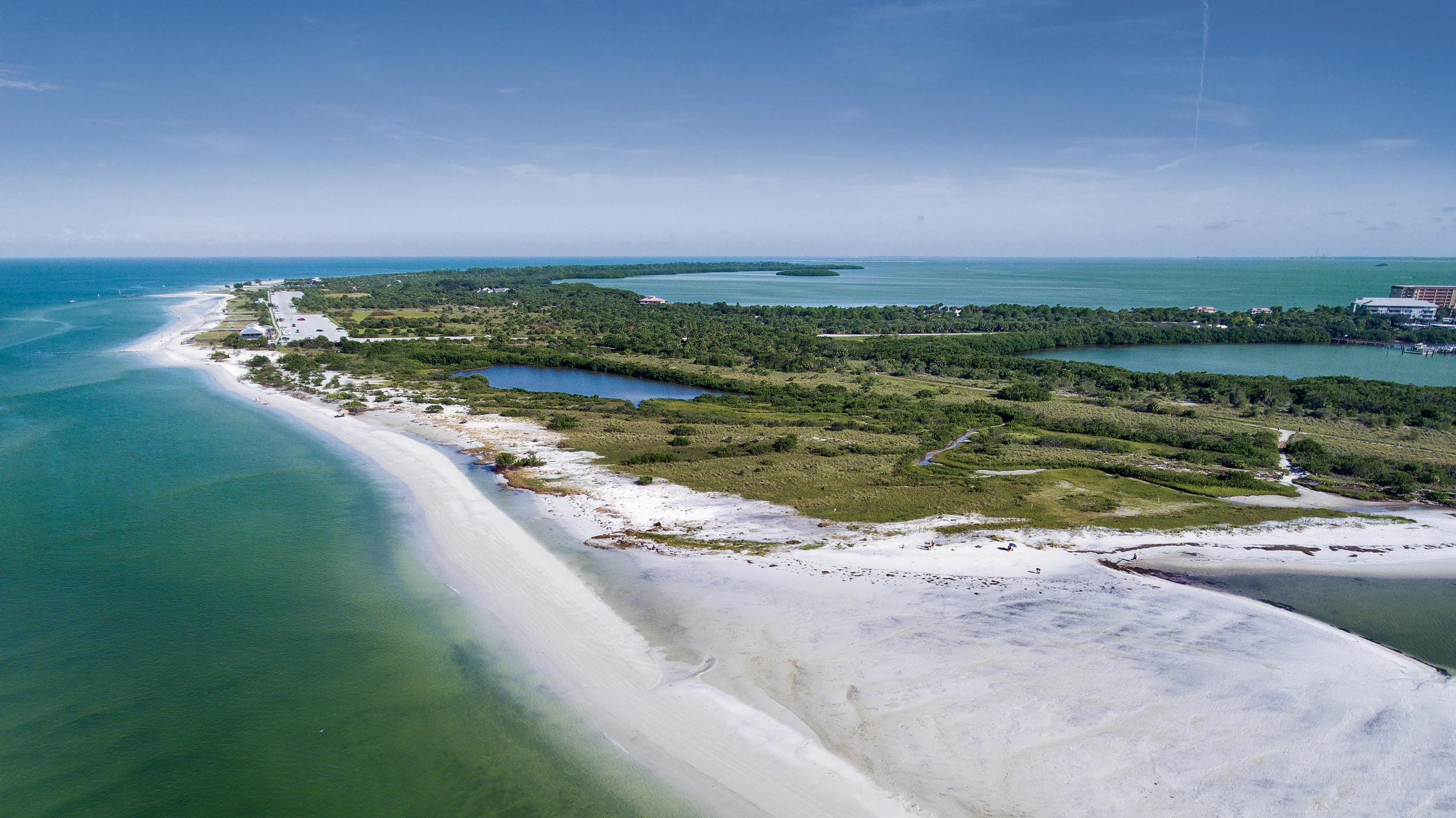 Honeymoon Island