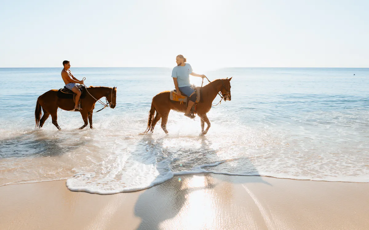 HorseBackRiding Beach GCM 1
