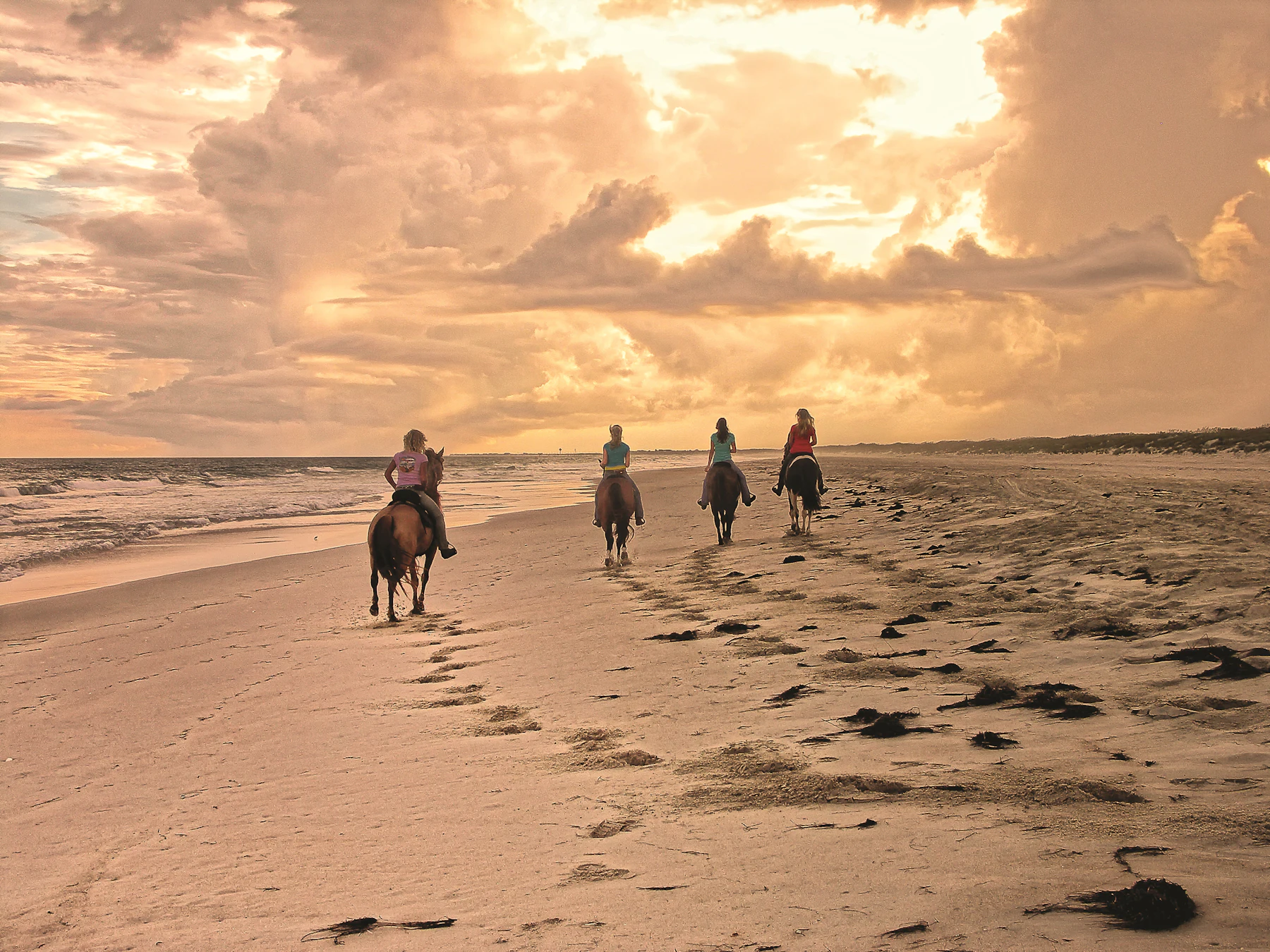 Horseback Riding Hatteras 42 DxO 1
