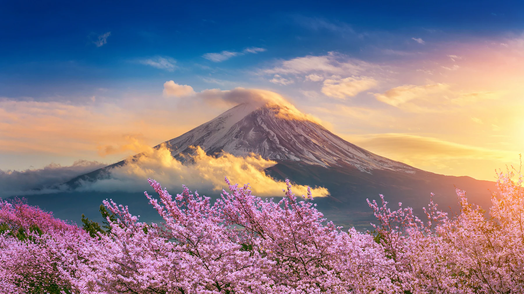 Japan unsplash