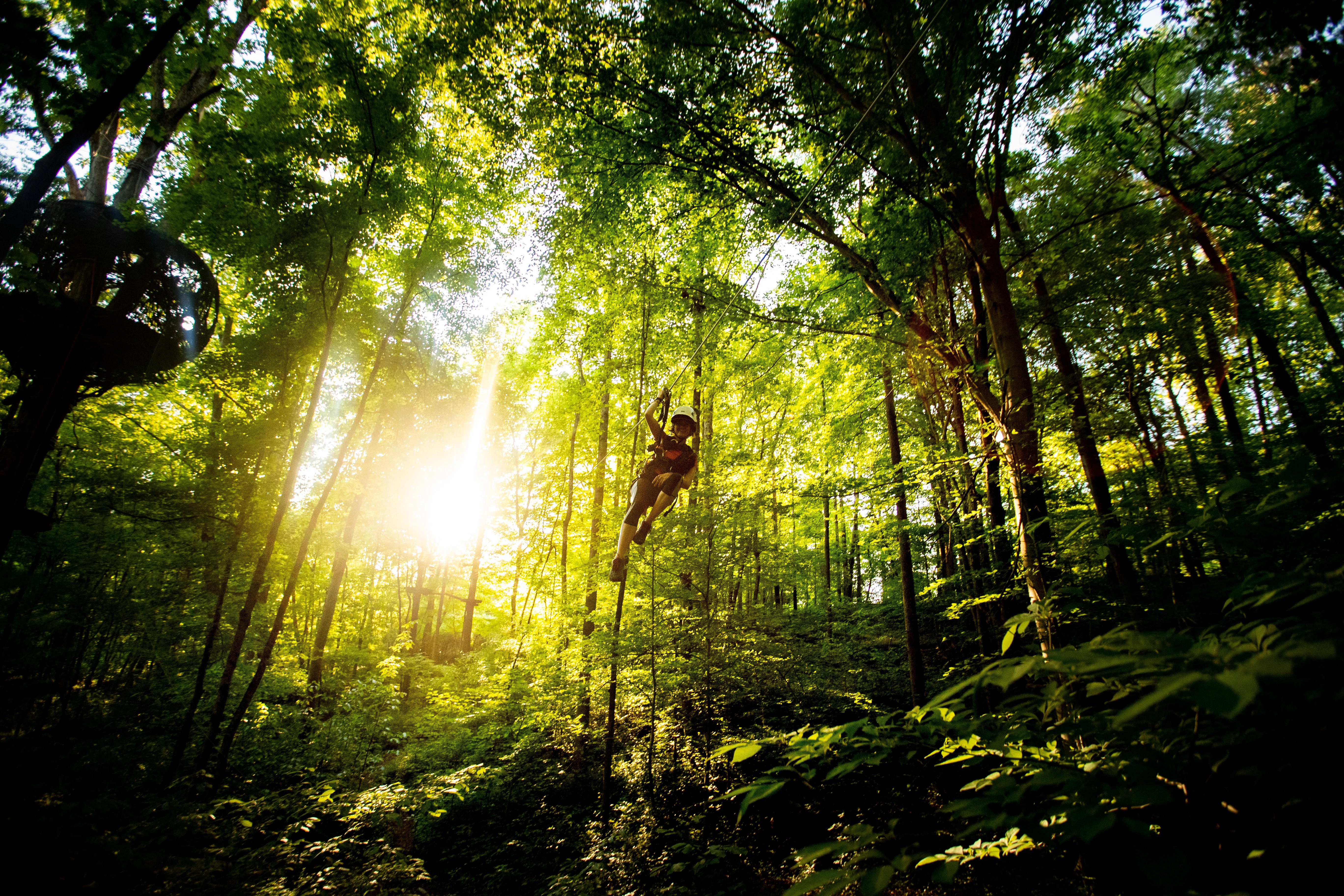 Knoxville KnoxCo Navitat cTennessee Tourism Plan A