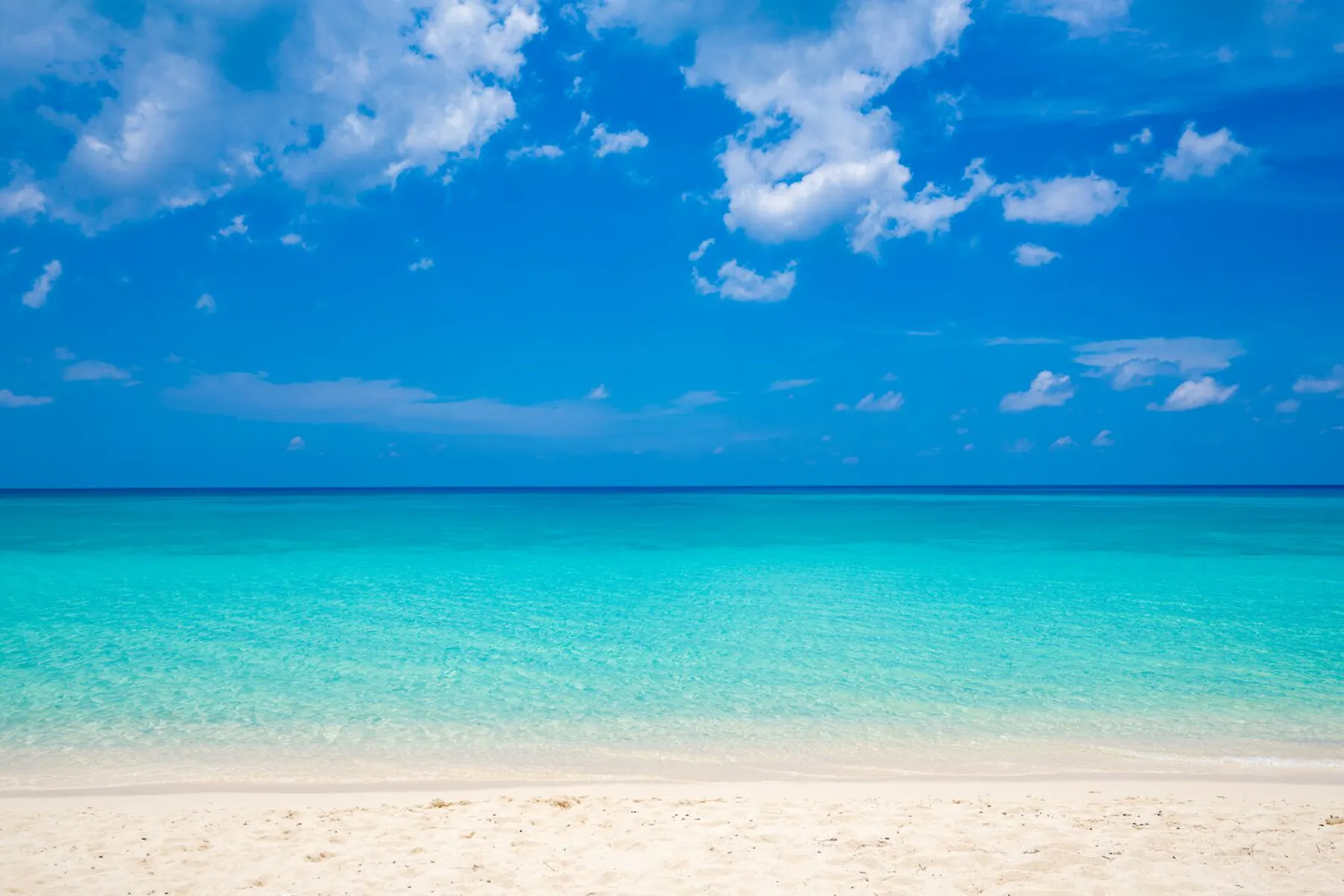 Large GCM SevenMileBeach 2024 16