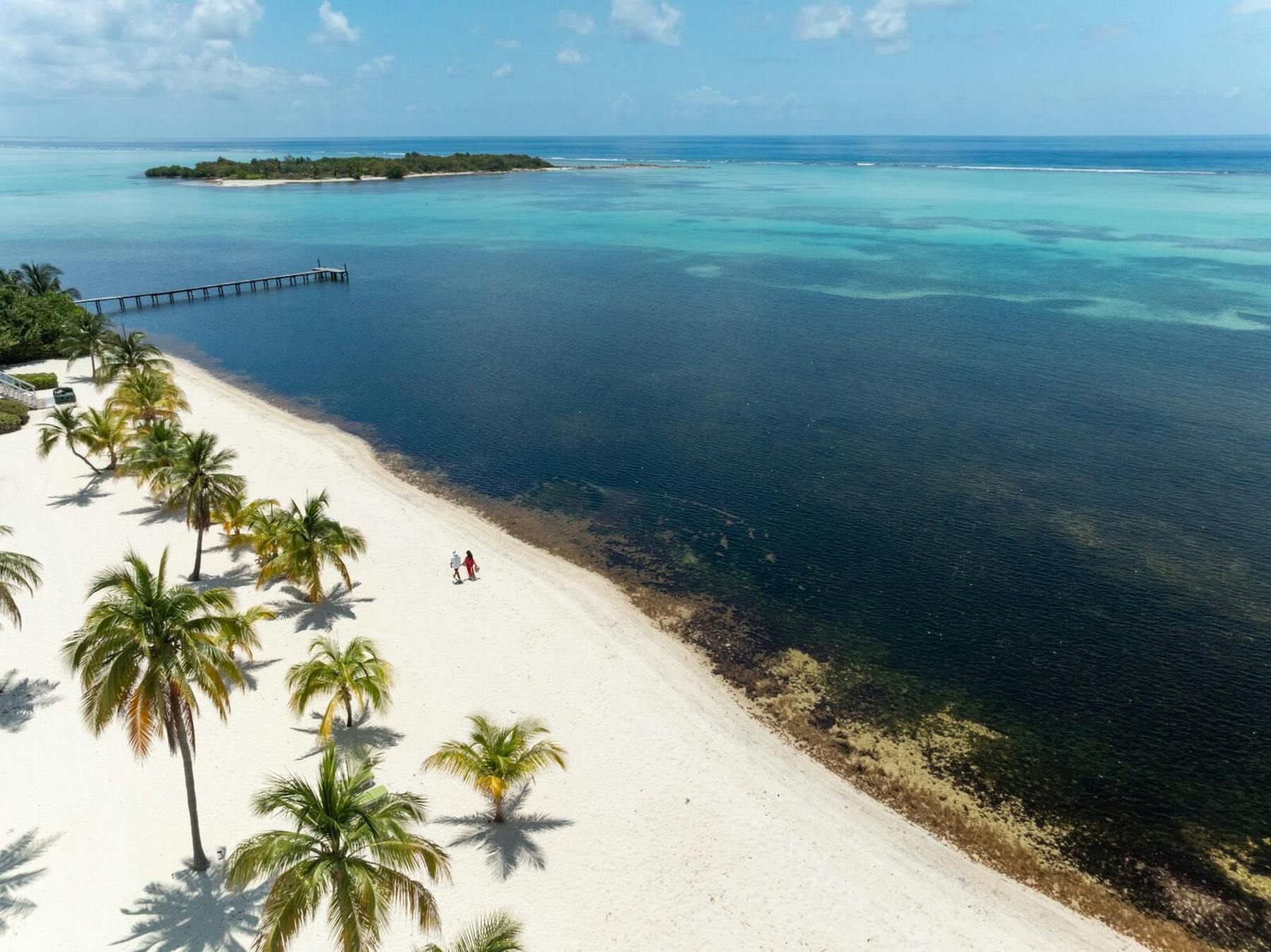 Large LCM Description Location 1